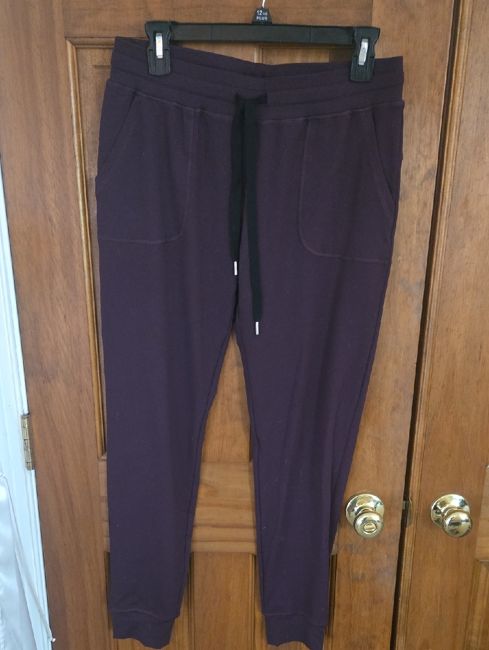 Cozy Drawstring Joggers in Deep Plum